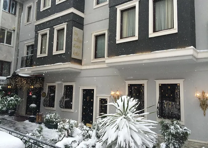 The Million Stone Hotel - Special Category